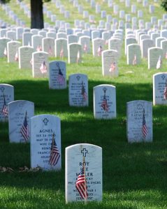 Veteran's Day Dual Perspective - Author, Terry Swejkoski