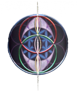 Vesica Piscis - Conscious Perspective of Higher Self